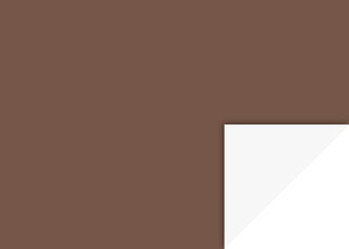 Plakatkarton „Standardfarben“ | 48×68 cm, 380 g/m², mittelbraun