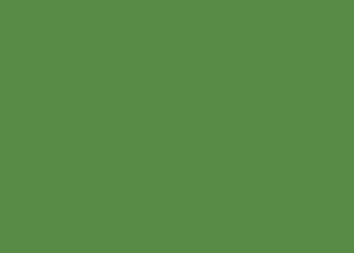 Seidenpapier, B/H: 50 cm × 70 cm, 20 g/m², dunkelgrün