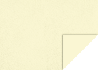 Coloured Cardstock, 50 × 70 cm, 220 gsm, chamois