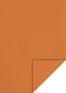 Coloured Cardstock, A4, 220 gsm, medium orange