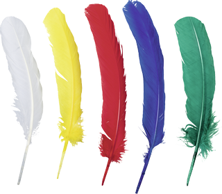 Indian Feathers 25 - 30 cm white, yellow, red, blue, gree
