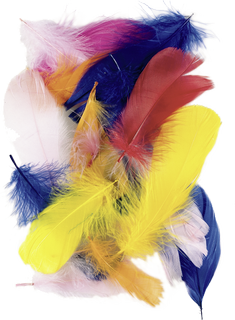 Goose Feathers, 70 - 80 mm, 2 g