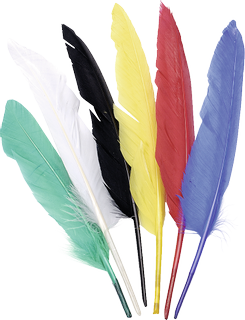 Indian Feathers, 150 - 220 mm, variegated, 12 piece(s)