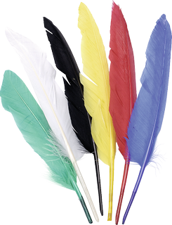 Indian Feathers, 250 - 300 mm, 6 piece(s)