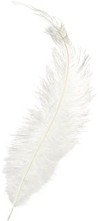 Feather, 350 mm, white