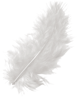 Marabufedern | 100 mm, weiß, 15 Stück