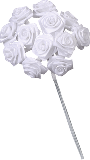 Satin Rose, white