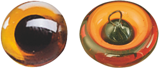 Yeux de verre, Ø 12 mm, marron, 2 pièce(s)