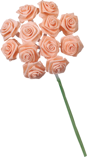 Satin Rose, apricot