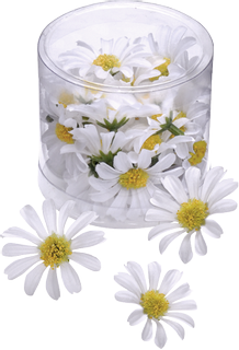 Dekostreu Blumen "Margeritenblüten" Ø 4 cm weiß, gel